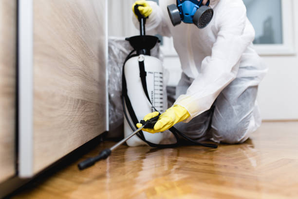 Best Pest Control Treatment  in Golden Beach, MD