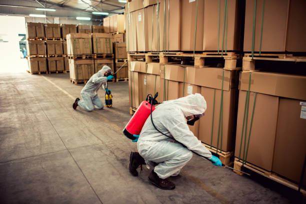 Best Best Pest Control Companies  in Golden Beach, MD