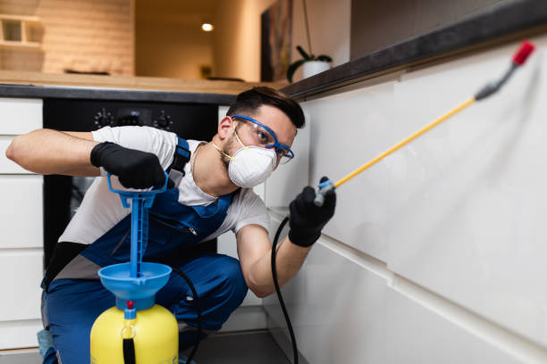 Reliable Golden Beach, MD Pest Control Solutions