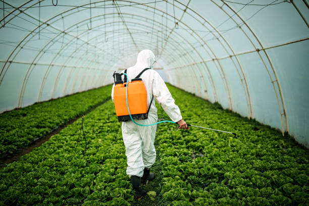 Best Pest Control Near Me  in Golden Beach, MD
