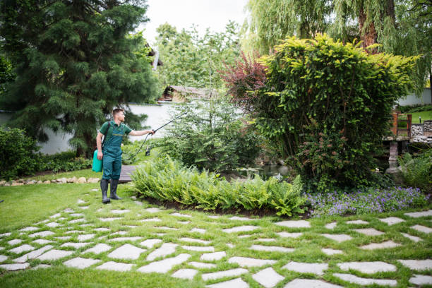 Best Affordable Pest Control Services  in Golden Beach, MD