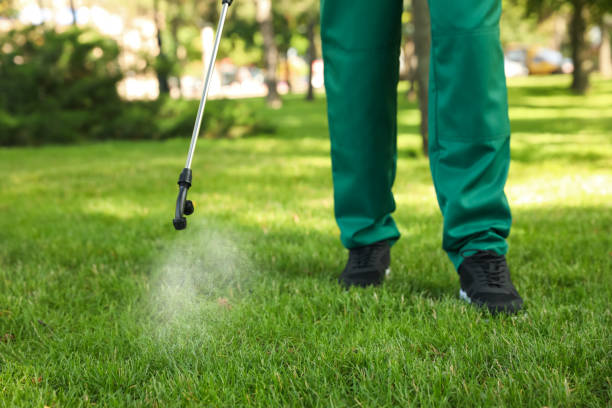 Best Flea Control Services  in Golden Beach, MD