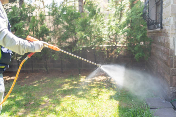 Best Local Pest Control Services  in Golden Beach, MD