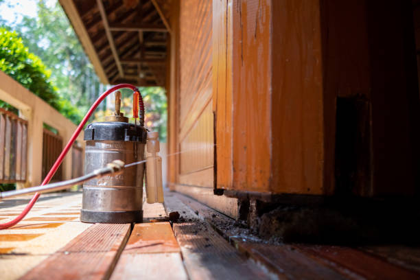 Best Mosquito Control Services  in Golden Beach, MD